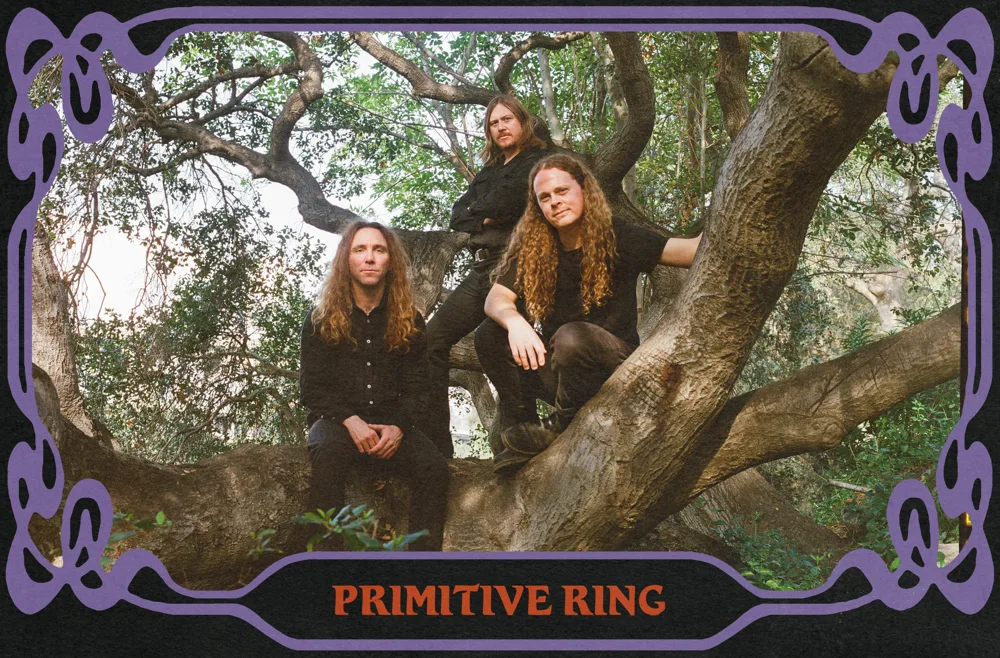 Primitive Ring